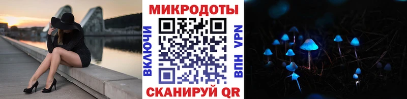 Галлюциногенные грибы Psilocybe  купить   kraken зеркало  Заинск 