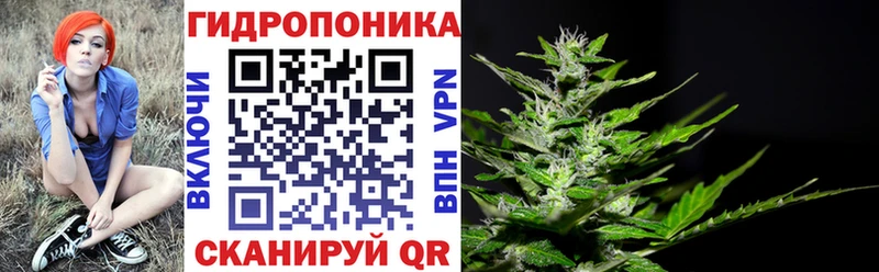 Шишки марихуана план Заинск